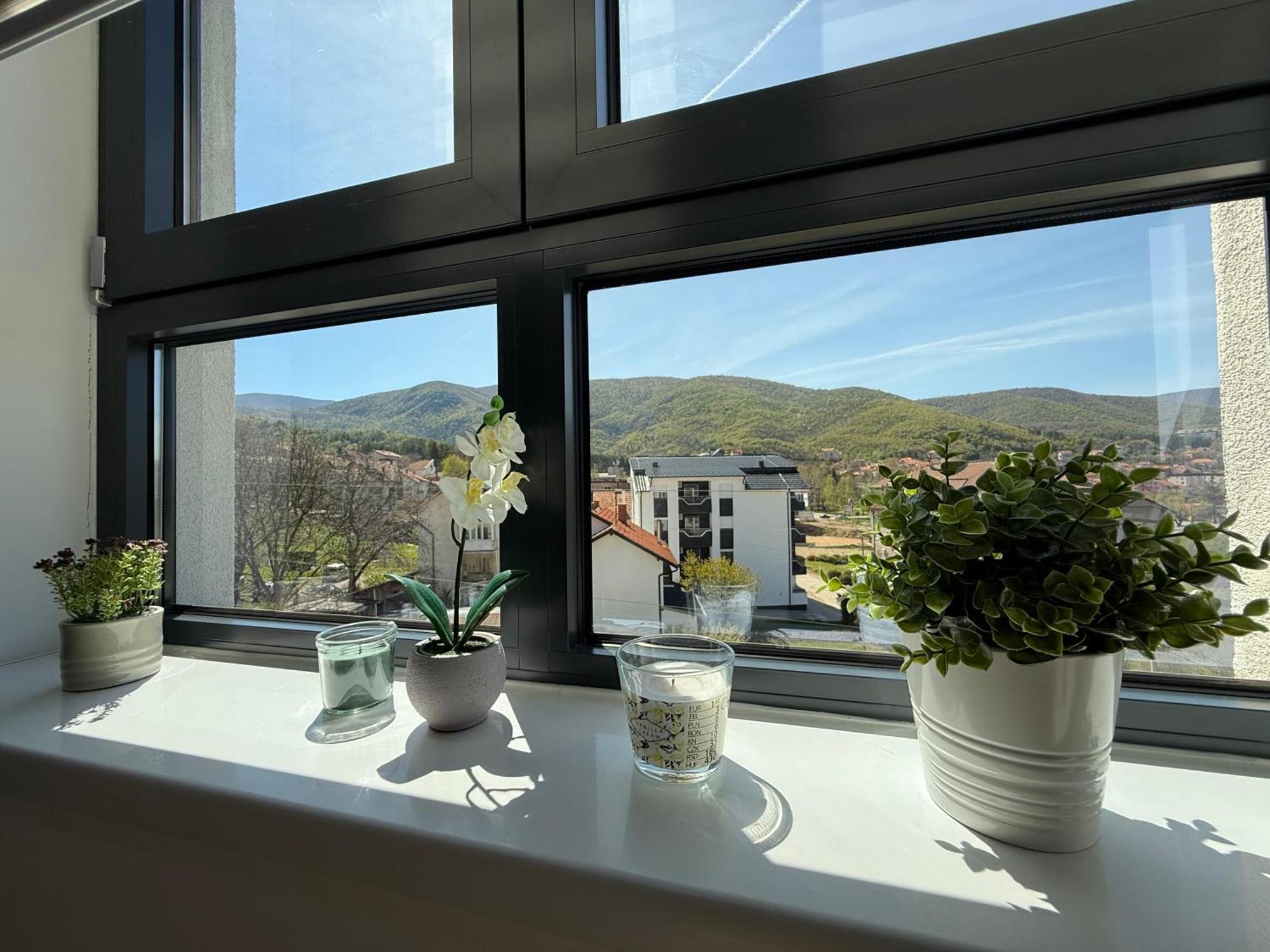 Aleksandar Apartman Sokobanja Ngoại thất bức ảnh